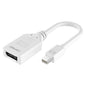 20cm Mini DisplayPort to DisplayPort Adapter