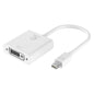 20cm Mini DisplayPort Male to DVI-D Single Link Female Adapter