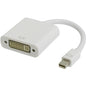 20cm Mini DisplayPort Male to DVI-D Single Link Female Adapter