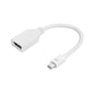 20cm Mini DisplayPort Male to DisplayPort Female Adapter